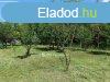 3111 m2-es  gymlcss elad Sifok Kiliti-szlhegyn