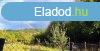 Elad telek rkpanormval, pincvel Trcskn! - Kaposvr