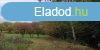 Elad telek rkpanormval, pincvel Trcskn! - Kaposvr