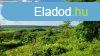 Elad panorms kis hz szlvel a Szalacskai kpolna mgtt