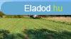Elad ptsi telek Mocsn - Mocsa