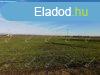 Kivl helyen, 9770 m2 telek Mezkvesden elad