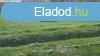 Elad Telek, Bakonyjk 5.000.000 Ft