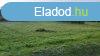 Elad Telek, Bakonyjk 5.000.000 Ft