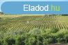 Elad pezsgzem s borszati feldolgoz J ron! - Tiboldda