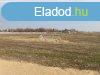 Elad ipari, Algy