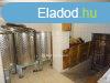 Elad Hz, Sijut