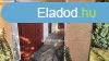 Elad Hz, Buzsk