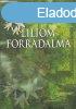 Liliom forradalma - G. Tth Kroly