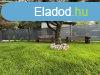 Elad 80m2-es zlethelyisg, Szada