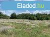 Nagy terlet elad