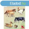 LOGICO Piccolo Ismeretek 1-2. o Hzi-, hobbi s vadon l l