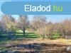 rhidn, tvol a vros zajtl s mgis kzel - rhida