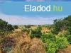 Elad ptsi telek Polgrdi kzpontjban