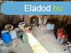 Elad egy prshz, risi pincvel, Mron, egy 634 m2-es tel