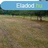 Elad hobbi kert, gymlcss Balatonboglr Zinger-dlben