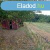 Elad hobbi kert, gymlcss Balatonboglr Zinger-dlben