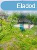 Elad 77 nm-es Feljtott Csaldi hz Gyomaendrd