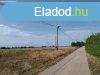 Elad 597m2-es ptsi telek, Lrinci