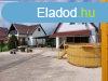 Elad 55 nm-es Feljtott Htvgi hz Gyomaendrd