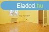 Elad Laks, Debrecen 67.900.000 Ft