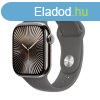 Apple Watch Series 10 GPS + Cellular 42mm Natural Titanium C