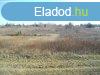 Hvz hatrban 1.924 m2-es sznt elad